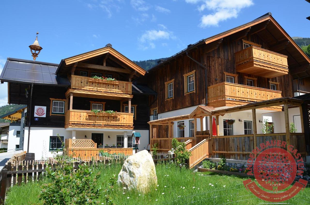 Appartement Anderlbauer à Dorfgastein Extérieur photo